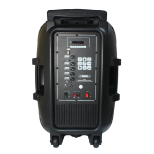 Bluetooth zvucnik NDR-A15 15" 40W - Slika 4